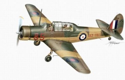 Planet Models PLT148 CAC CA-6 Wackett 1/48