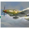 Hasegawa 09093 P-39Q AIRACOBRA 1/48