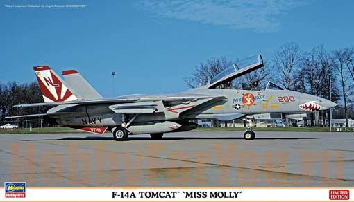 Hasegawa 02123 Самолет F-14A TOMCAT "MISS MOLLY" (HASEGAWA) 1/72