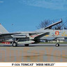 Hasegawa 02123 Самолет F-14A TOMCAT "MISS MOLLY" (HASEGAWA) 1/72