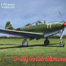 RS Model 92136 P-39 Q-25 Airacobra 1/72