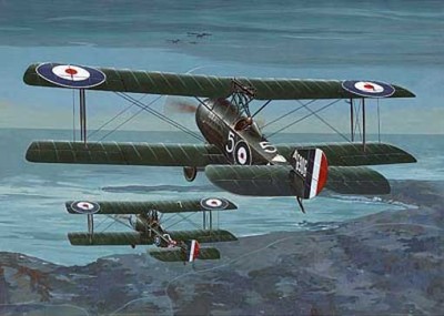Roden 48407 C48Sopwith 1 1/2 Strutter