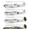 Art Scale 200-D48009 Curtiss P-40E Warhawk Pacific battlefield RAAF part IV 1/48