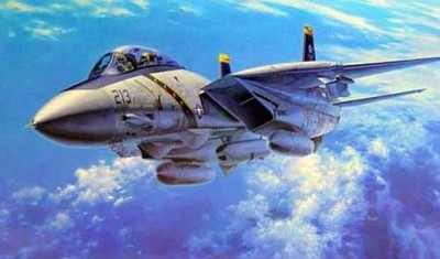 Hasegawa 07019 F-14A Tomcat (Atlantic F. S.) 1/48