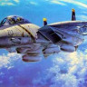 Hasegawa 07019 F-14A Tomcat (Atlantic F. S.) 1/48