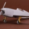 Sbs Model M4009 Caudron C.460 (resin kit) 1/48