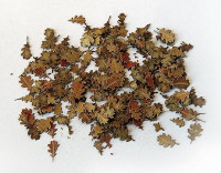 Plus model 4033 Leaves - oak / Listi - dub 1:48