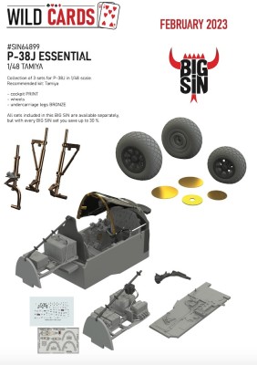 Eduard SIN64899 BIGSIN P-38J ESSENTIAL (TAM) 1/48