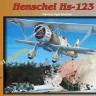 Fly model 72008 Henschel Hs 123A (Special scheme) 1/72