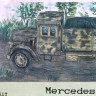 TP Model T-7245 Mercedes Benz L701 1/72