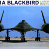 Hasegawa 040564 SR-71 Black Bird 1/72