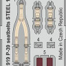 Eduard FE919 P-39 seatbelts STEEL 1/48