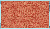 Eduard 36144 Camo netting UK S type Desert