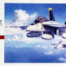 Hasegawa 07238 F/A-18F Super Hornet 1/48