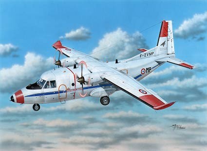 Frrom Azur FR0040 Casa C-212-300 France 1/72