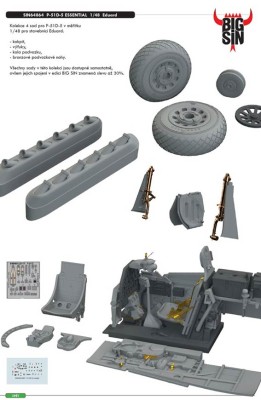 Eduard SIN64864 BIGSIN 1/48 P-51D-5 ESSENTIAL (EDU)