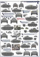 Colibri decals 72006 Armored vehicles Wehrmacht, at the point of impact. June 1941 1/72