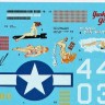Foxbot Decals FBOT72041 North-American B-25G/J Mitchell (Late) "Pin-Up Nose Art and Stencils" Part # 7 (designed to be used with Airfix, Italeri, Hasegawa and Revel kits) 1/72