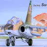 Kovozavody Prostejov 48002 Sukhoi Su-25 UBK (CZ, SK, Russia, Bulgaria) 1/48