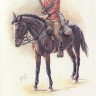 HAT 8209 Zulu Wars British Mounted Infantry 1/72