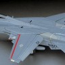 Hasegawa 07212 Палубный истребитель ВМС США F-14D Tomcat “CVW-14” 1/48