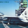 Hasegawa 07212 Палубный истребитель ВМС США F-14D Tomcat “CVW-14” 1/48