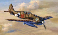 Hasegawa 09950 Focke-Wulf FW190F-8 with BT700 Bomben Torpedo Limited Edition 1/48