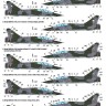 Foxbot Decals FBOT72073 Dassault-Mirage 2000N 1/72