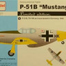 AZ Model 75013 P-51B 'Mustang' CAPTURED (3x camo) 1/72
