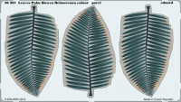 Eduard 36207 Leaves Palm Howea Belmoreana colour