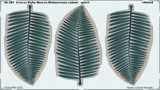 Eduard 36207 Leaves Palm Howea Belmoreana colour