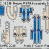 Eduard BIG33173 Meteor F.8 (REV) 1/32