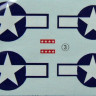 LF Model C4802 Decals for Fi-156 Storch USAF 1/48