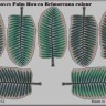 Eduard 73442 1/72 Фототравление для Leaves Palm Howea Belmoreana colour