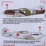 AML AMLC32001 Маски P-40B/C Americans in Stalin Sky Part I. 1/32