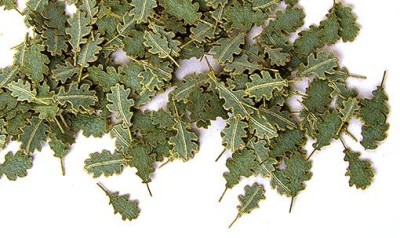 Plus model 252 Green leaves - oak 1:35