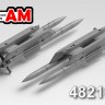 Advanced Modeling AMC 48210-1 Авиационная управляемая ракета Р-77-1 с двухпостовым балочным держателем   1/48