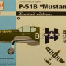 AZ Model 75016 P-51B 'Mustang' ACES 357.FG (3x camo) 1/72