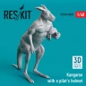 Reskit F48009 Kangaroo w/ a pilot's helmet 1/48