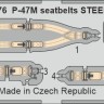 Eduard BIG49476 P-47M (MINA) 1/48