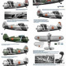 Colibri decals 72013 I-153 - June 1941 1/72
